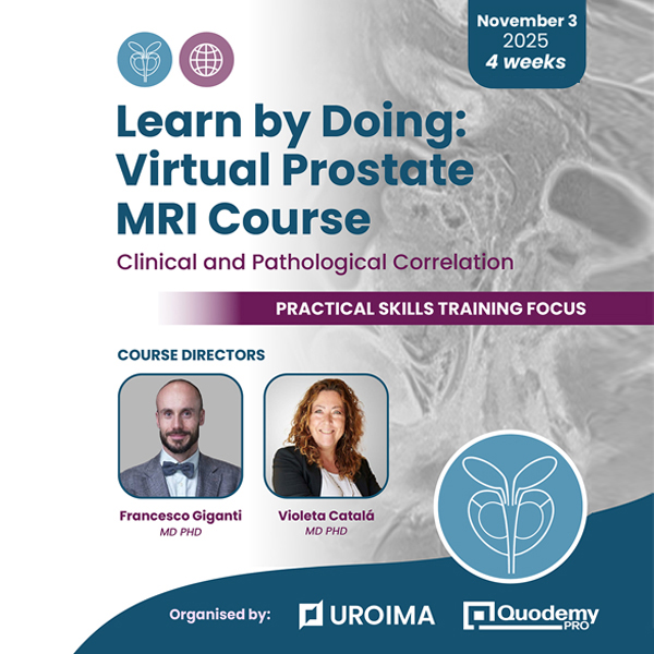 Magnetic Resonance Imaging in Prostate | Quodemy