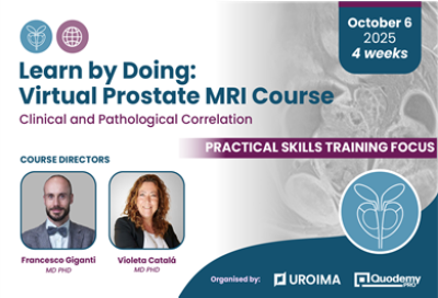 Magnetic Resonance Imaging in Prostate